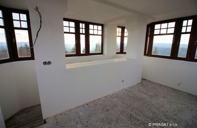 Historic Villa for sale Karlovy Vary, Karlovarský kraj, Photo 5/10