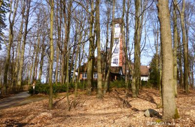 Historic Villa for sale Karlovy Vary, Karlovarský kraj, Photo 6/10