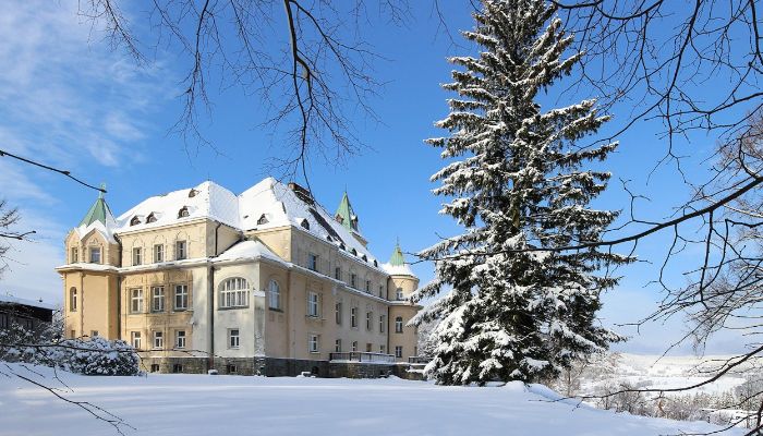 Castle Liberec 1