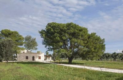 Landhus købe Francavilla Fontana, Puglia, Udvendig visning