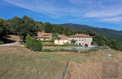 Manor House for sale Sansepolcro, Tuscany:  