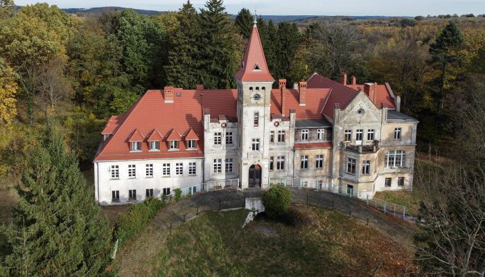 Castle Grabiszyce Średnie 1