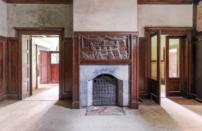 Villa Auerbach in Saalfeld, Thuringia, Fireplace