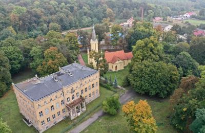 Castle for sale powiat gorzowski, gmina Witnica, Dąbroszyn, Pałac w Dąbroszynie, Lubusz Voivodeship, © Stowarzyszenie Templum