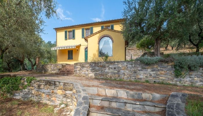 Country House Vicopisano 2