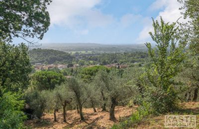 Country House for sale Vicopisano, Tuscany:  