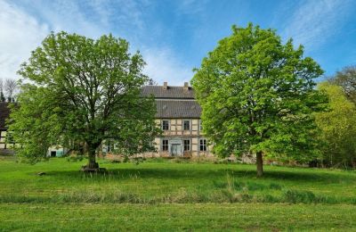 Herregård købe 17337 Uckerland, Brandenburg, Hof