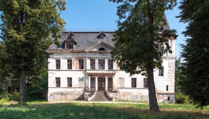 Castle Budziwojów 3