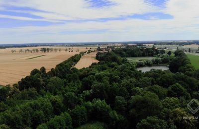 Castle for sale Budziwojów, Pałac w Budziwojowie, Lower Silesian Voivodeship:  