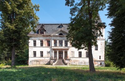 Castle for sale Budziwojów, Pałac w Budziwojowie, Lower Silesian Voivodeship:  