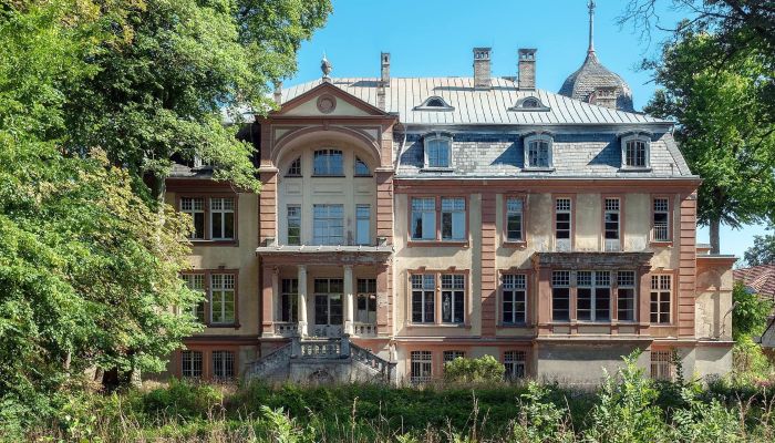 Castle for sale Brzeźnica, Lubusz Voivodeship,  Poland