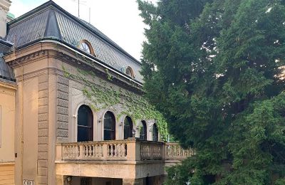 Historic Villa for sale Brno, Southeast (Jihovýchod)