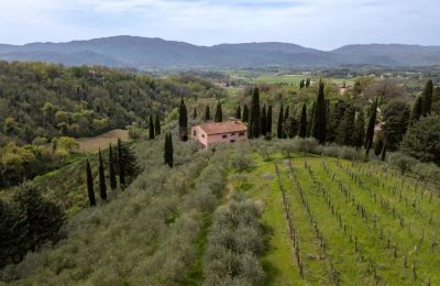 Landhus købe Vicchio, Toscana, Billede 36/39