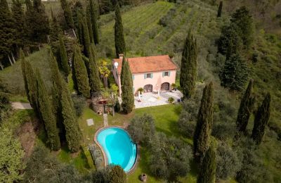 Character Properties, Mugello Paradise: Renovated Farmhouse with Pool and Vineyard