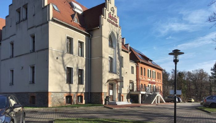 Historic property Niemcza 2