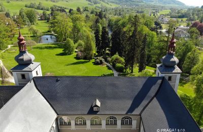 Character Properties, Castle in East Bohemia - perfect location for medical specialists or hoteliers