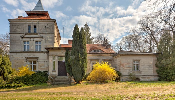 Castle for sale Żegrowo, Greater Poland Voivodeship,  Poland