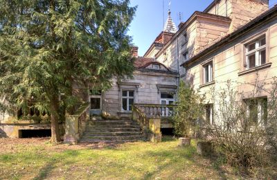 Castle for sale Żegrowo, Żegrowo 1, Greater Poland Voivodeship,, Back view