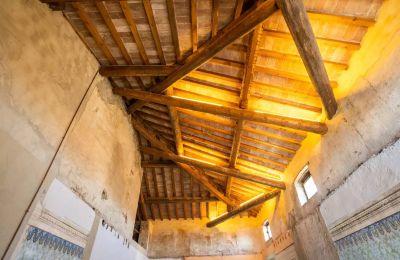 Historic Villa for sale Zibello, Emilia-Romagna, Ceiling