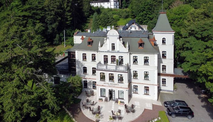 Historic Villa Duszniki-Zdrój 4