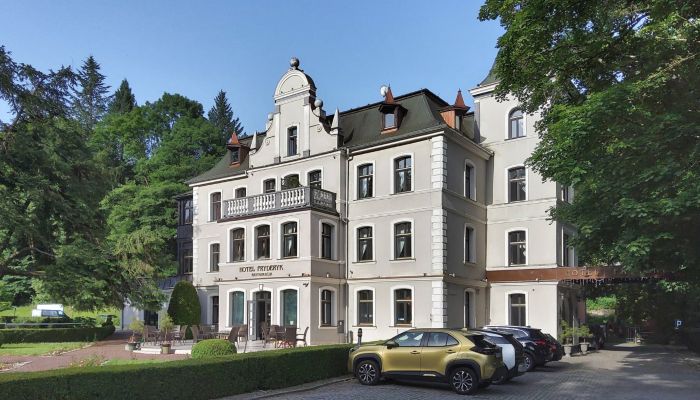 Historic Villa Duszniki-Zdrój 3