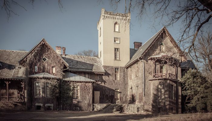 Castle for sale Sośnie, Greater Poland Voivodeship,  Poland