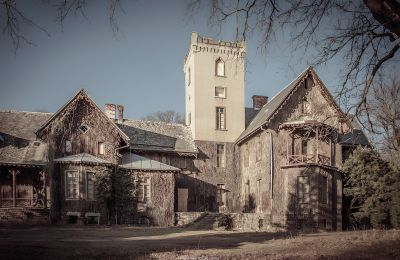 Castle for sale Sośnie, Jana Sztolcmana 1, Greater Poland Voivodeship, Front view