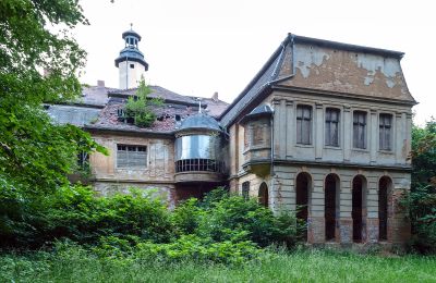Can Schloss Friedrichstanneck Palace still be saved, Image 1