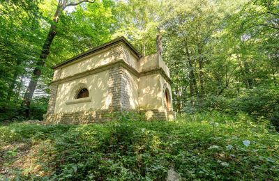 Manor House for sale Poręba Żegoty, Ruiny Dworu Szembeków, Lesser Poland Voivodeship, Photo 17/20