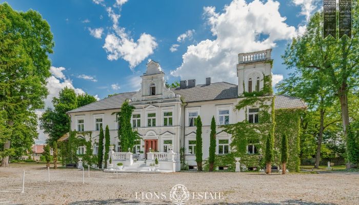 Manor House for sale Pstrokonie, Łódź Voivodeship,  Poland