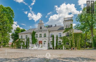 Manor House Pstrokonie, Łódź Voivodeship