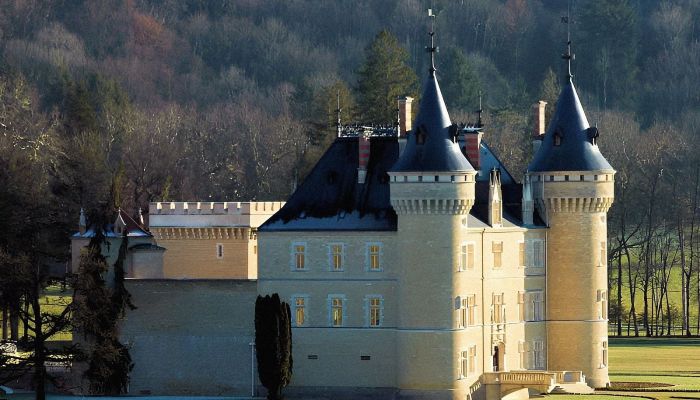 Castle France 1