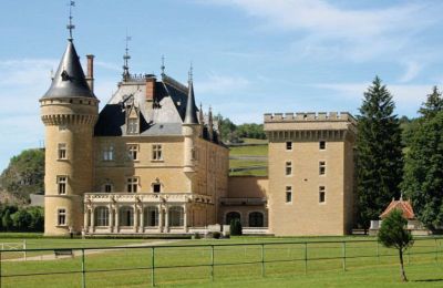 Castle for sale France, Photo 38/49