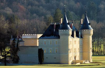 Castle for sale France, Photo 1/49