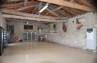 Castle for sale Monflanquin, New Aquitaine, Outbuilding