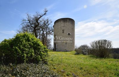 Castle for sale Monflanquin, New Aquitaine, Tower