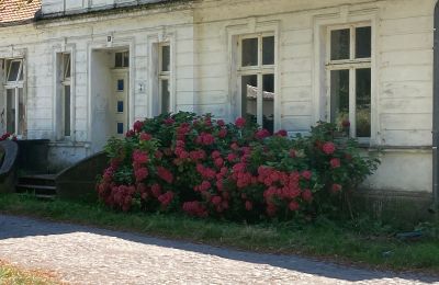 Manor House for sale 18556 Zürkvitz,  Zürkwitzer Str. 15, Mecklenburg-West Pomerania, Photo 20/23