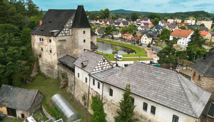 Medieval Castle Skalná 1