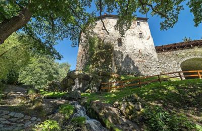 Medieval Castle for sale Karlovarský kraj, Photo 27/31