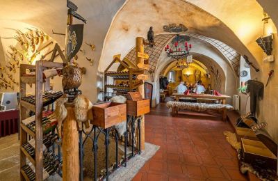 Medieval Castle for sale Karlovarský kraj, Photo 11/31