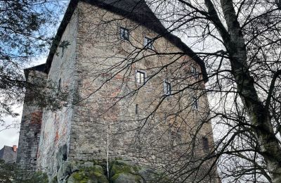 Medieval Castle for sale Karlovarský kraj, Photo 28/31