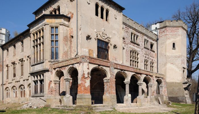 Medieval Castle Zagórzany 1