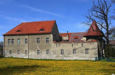 Castle Bielawa, Lower Silesian Voivodeship