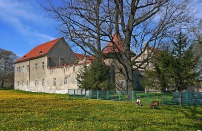 Castle for sale Bielawa, Wolności 92, Lower Silesian Voivodeship, Photo 4/7