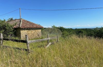 Historic property for sale Mirande, Occitania, Photo 27/45