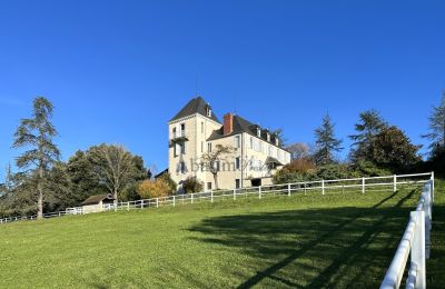 Manor House for sale Pau, New Aquitaine, Photo 2/23