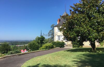 Manor House for sale Pau, New Aquitaine, Photo 15/19