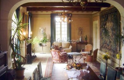 Castle for sale Pau, New Aquitaine, Photo 4/20