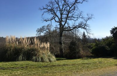 Castle for sale Pau, New Aquitaine, Palace Garden