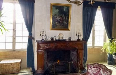 Castle for sale Pau, New Aquitaine, Fireplace